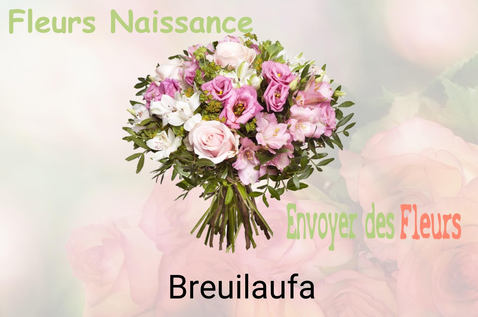 Bouquet de fleurs de naissance livré à Breuilaufa